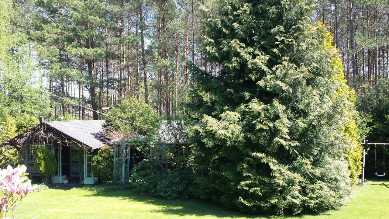 Domek Letniskowy Na Kaszubach Lub Apartament Z Kominkiem Puck Kültér fotó