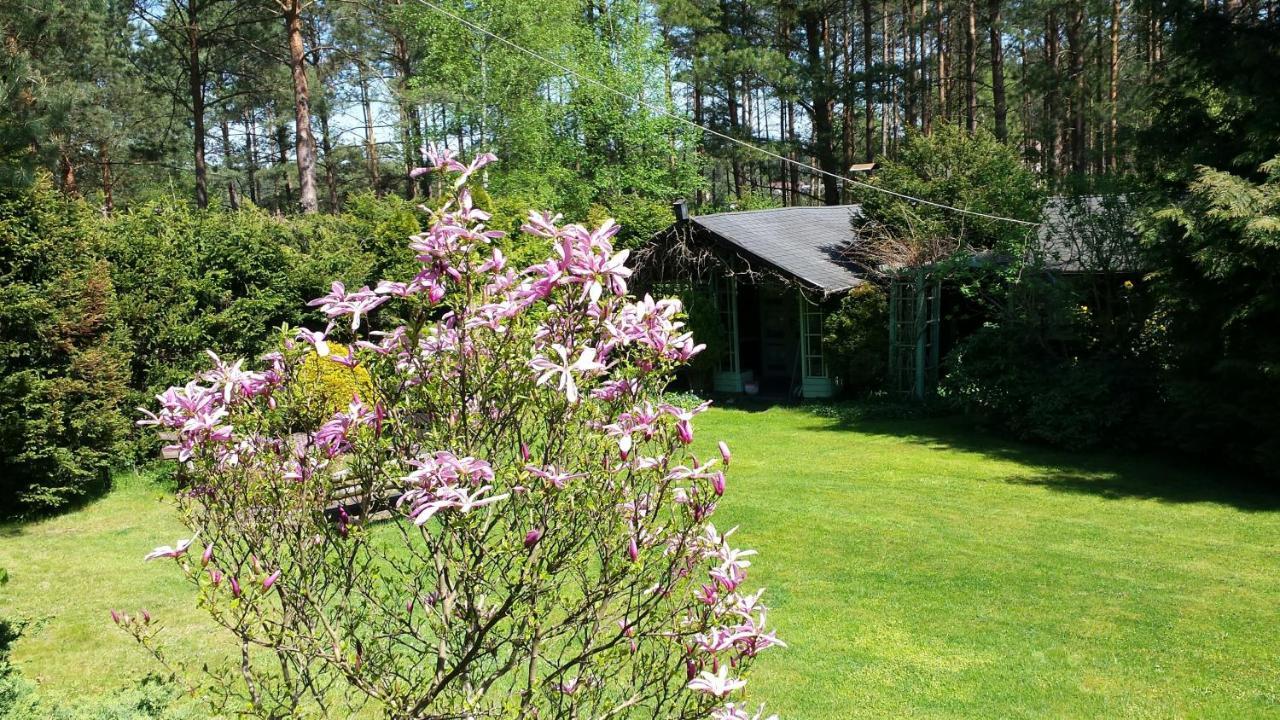 Domek Letniskowy Na Kaszubach Lub Apartament Z Kominkiem Puck Kültér fotó