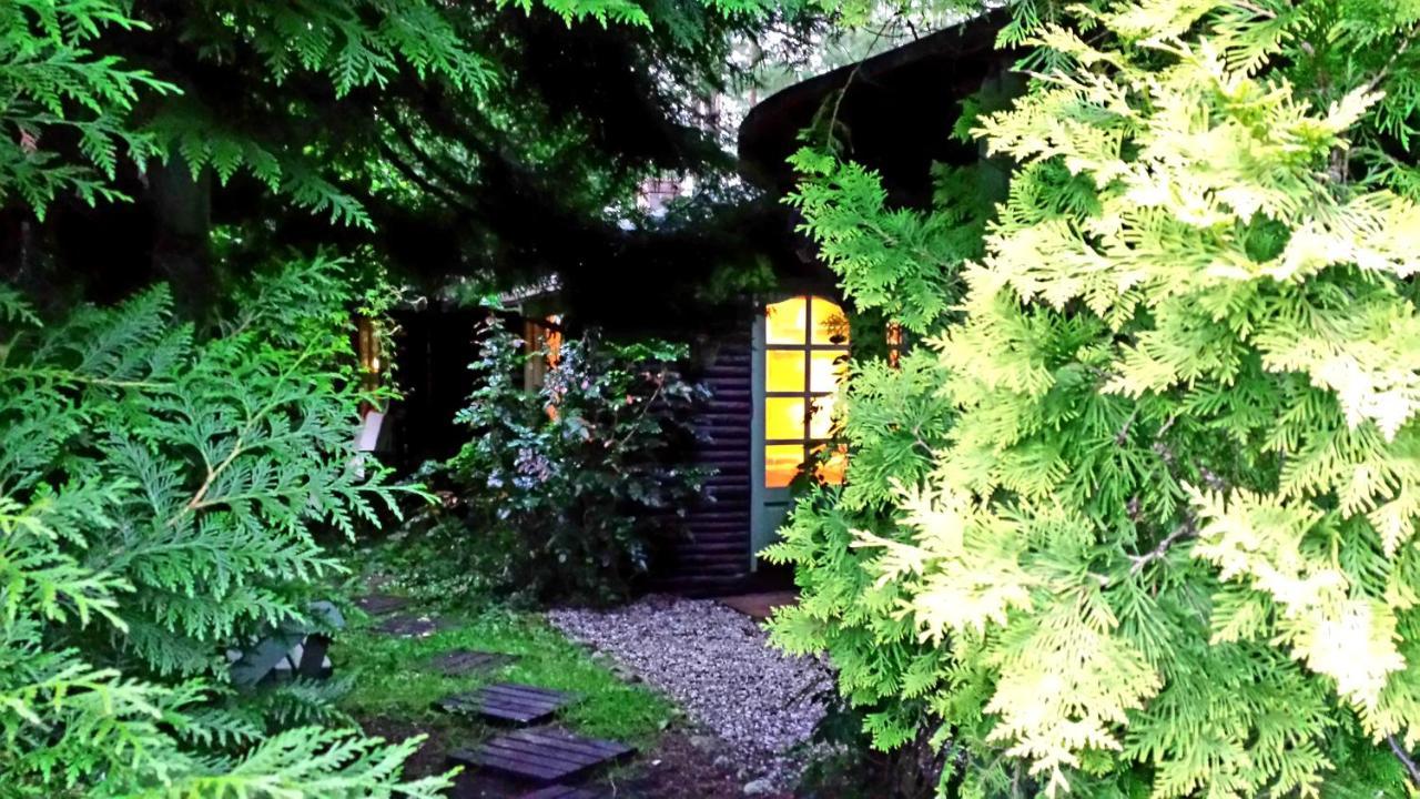 Domek Letniskowy Na Kaszubach Lub Apartament Z Kominkiem Puck Kültér fotó