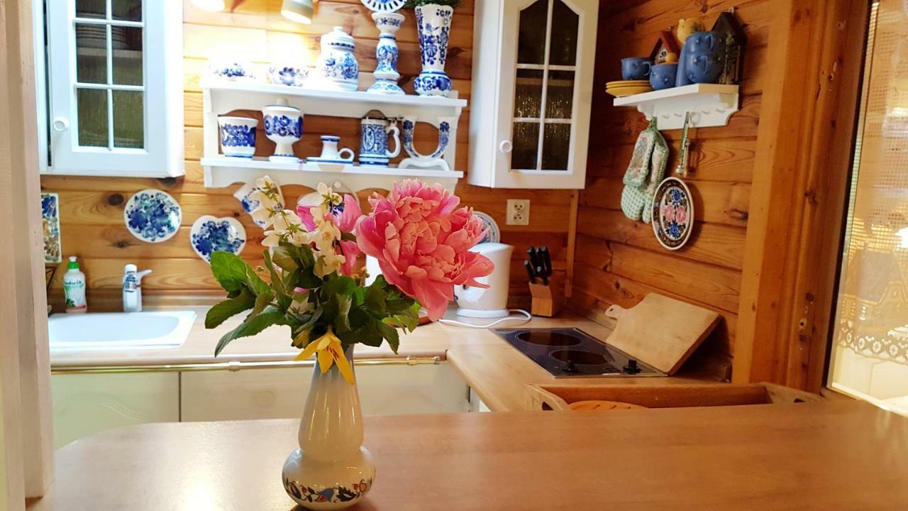 Domek Letniskowy Na Kaszubach Lub Apartament Z Kominkiem Puck Kültér fotó
