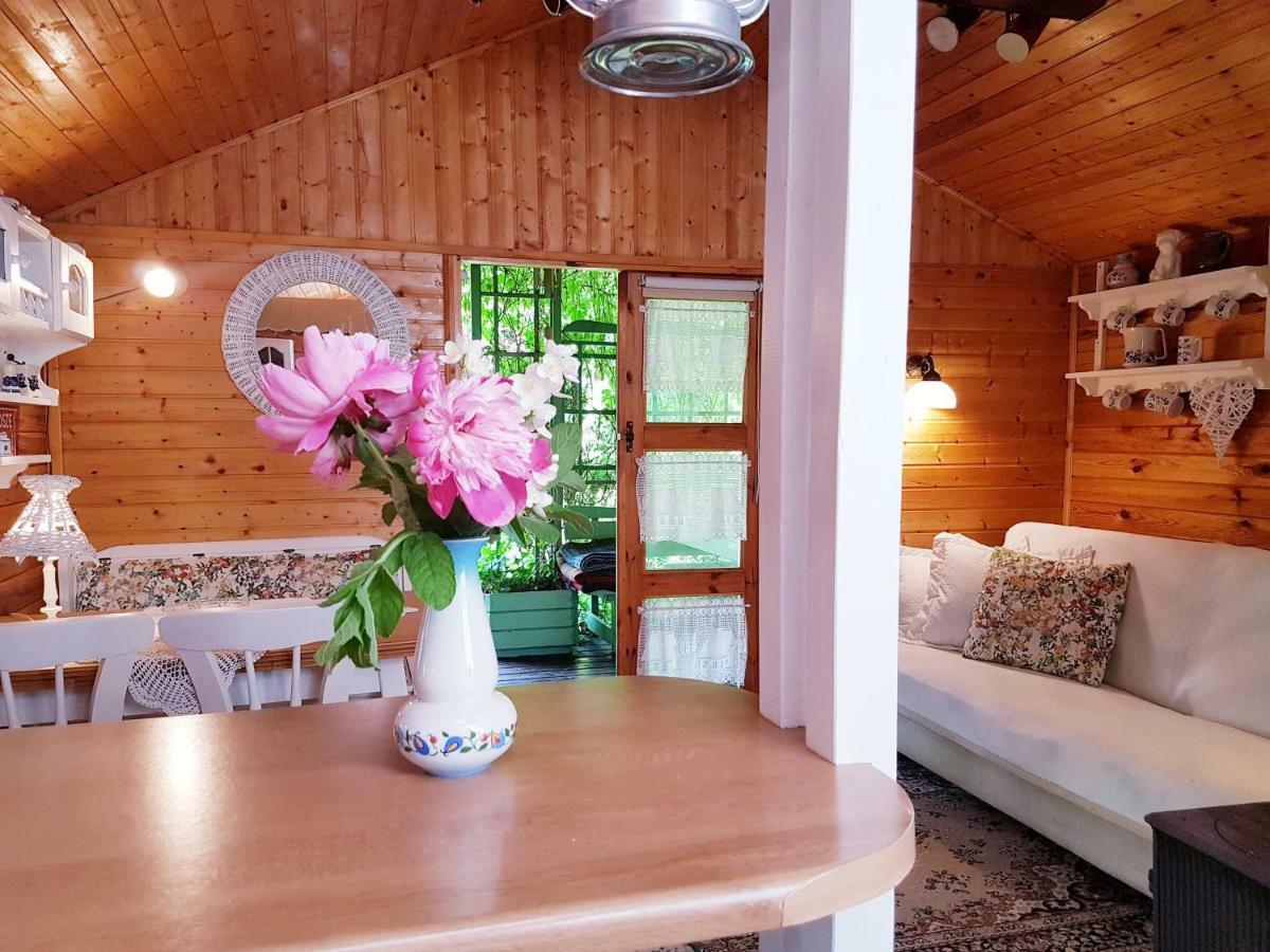 Domek Letniskowy Na Kaszubach Lub Apartament Z Kominkiem Puck Kültér fotó